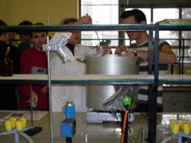 SDC10177 - Copia.JPG